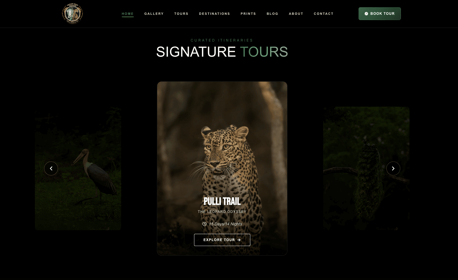 Ceylon Wild Escapes