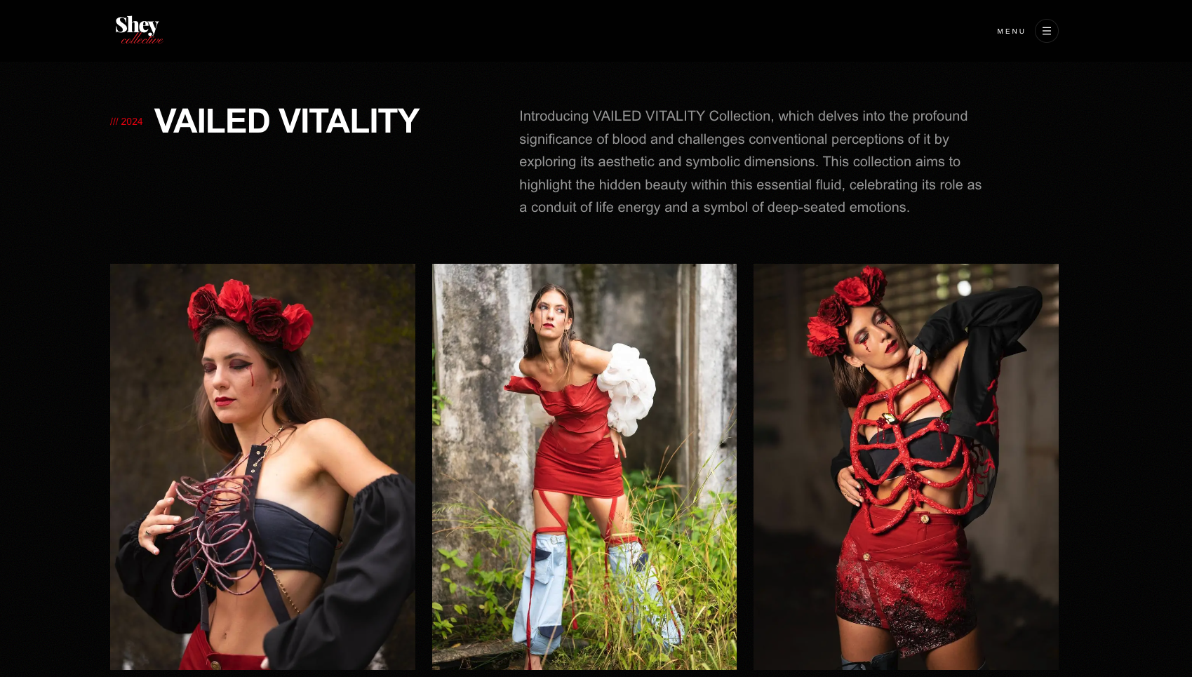 Fashion Portfolio